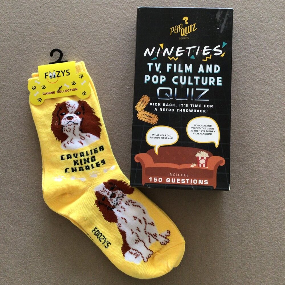 Nineties TV Film and Pop Culture Quiz Game (Ages 12+)  + Foozys sock dog edition